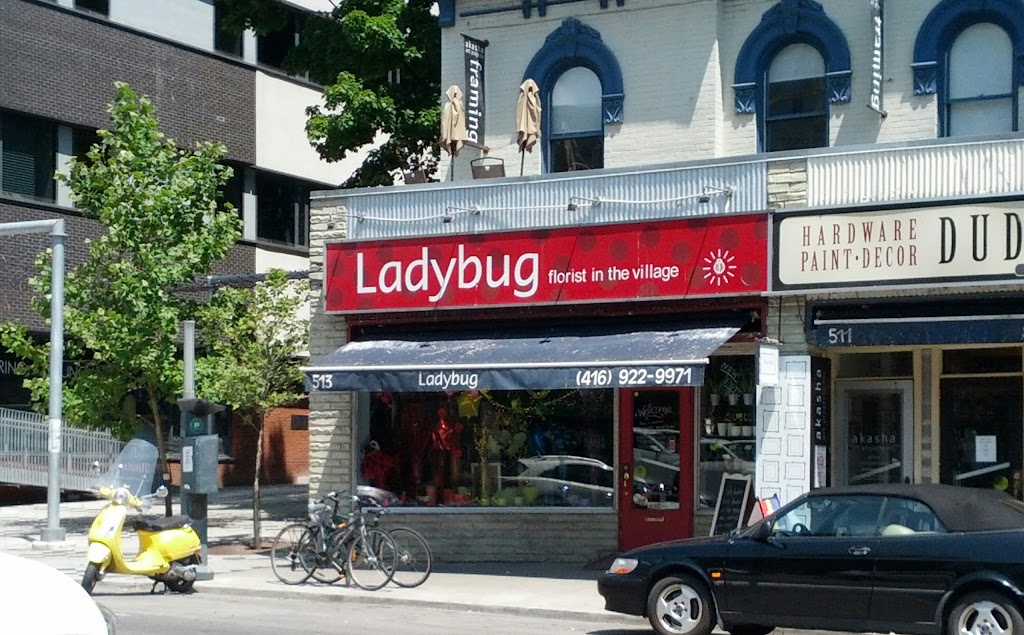 Ladybug Florist In the Village