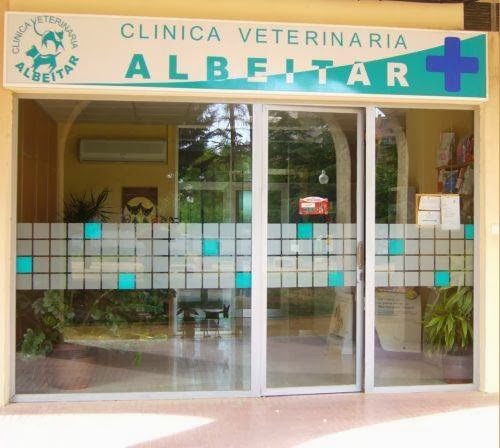 ALBEITAR CLINICA VETERINARIA. Solo con cita previa — Del propietario