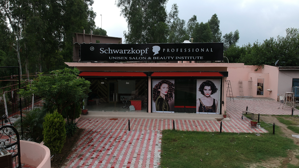 Schwarzkopf Professional Ap Unisex Salon And Beauty Institute