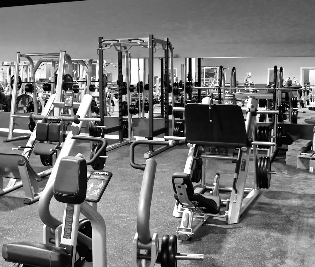  Pulse Premier Fitness