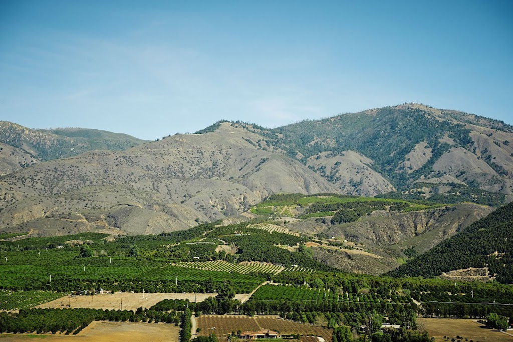 Villa Park Orchards Association # 2 - Orchard in Fillmore , United States of America