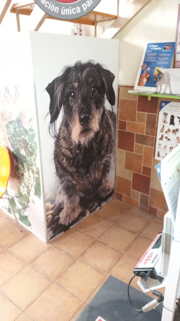 CLINICA VETERINARIA SANTA POLA — Del propietario