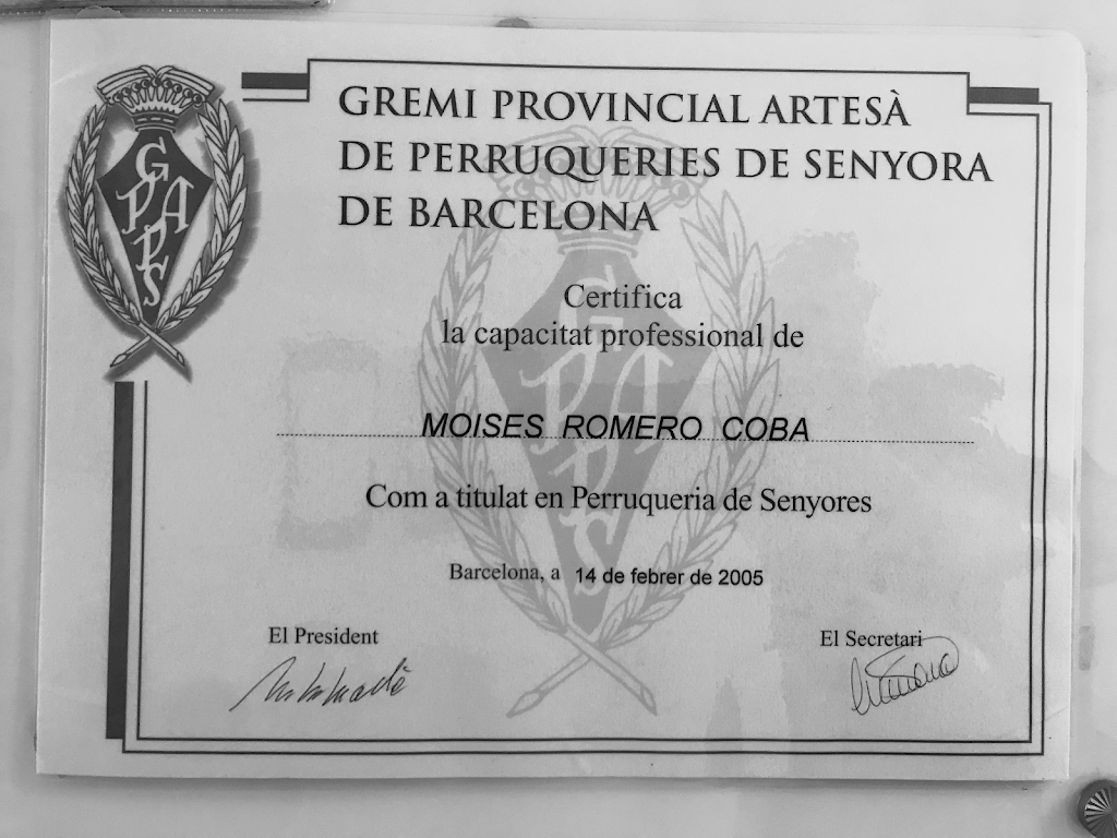 MOISES PERRUQUERS — Carta