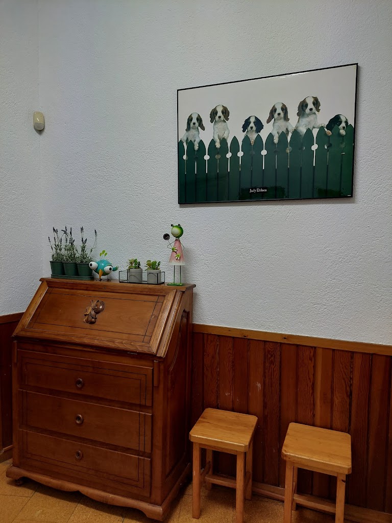 Centro de Estudios Guicsalis