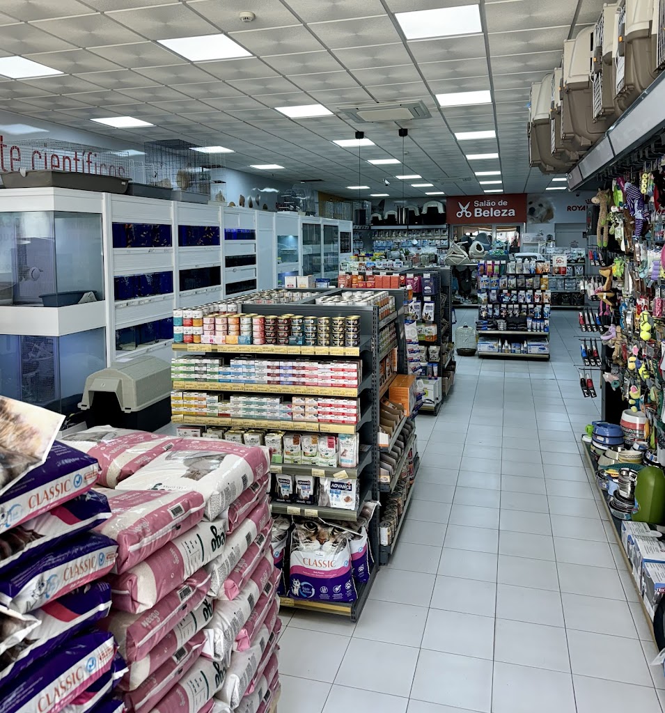 Do proprietario