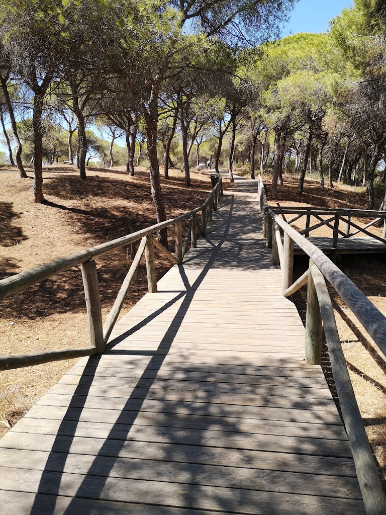 Pinares De Rota