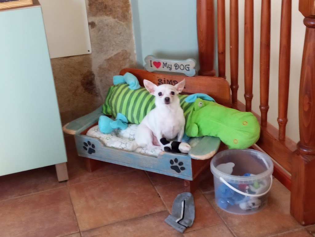 Veterinaria Aguilera Mogan