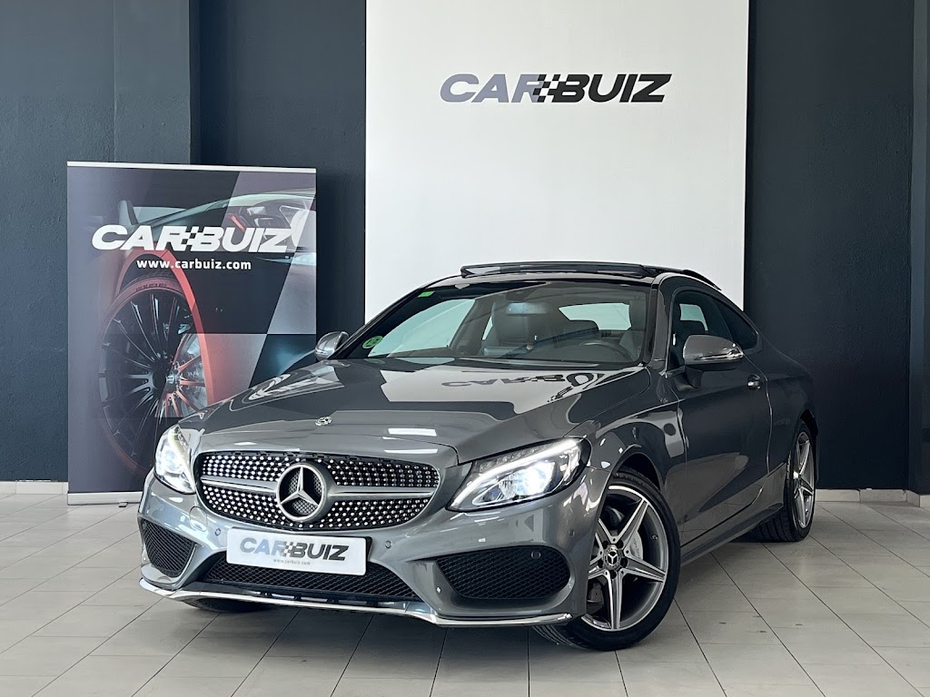 CARBUIZ — Del propietario