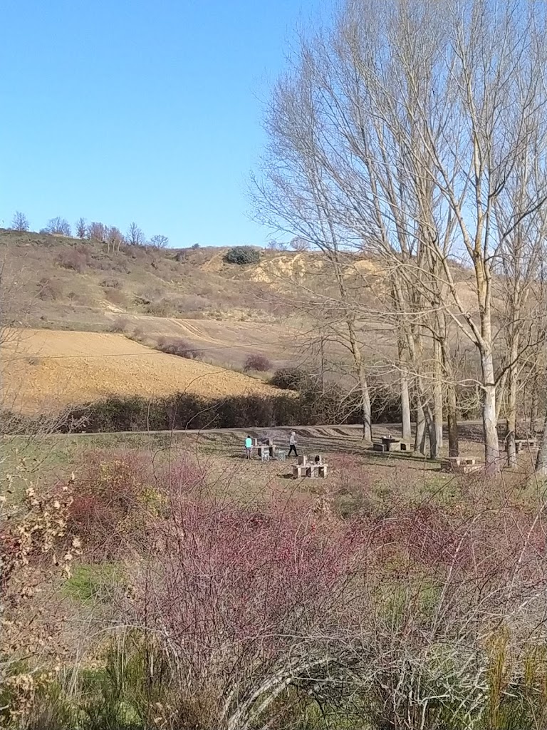 Area Picnic Villaquilambre
