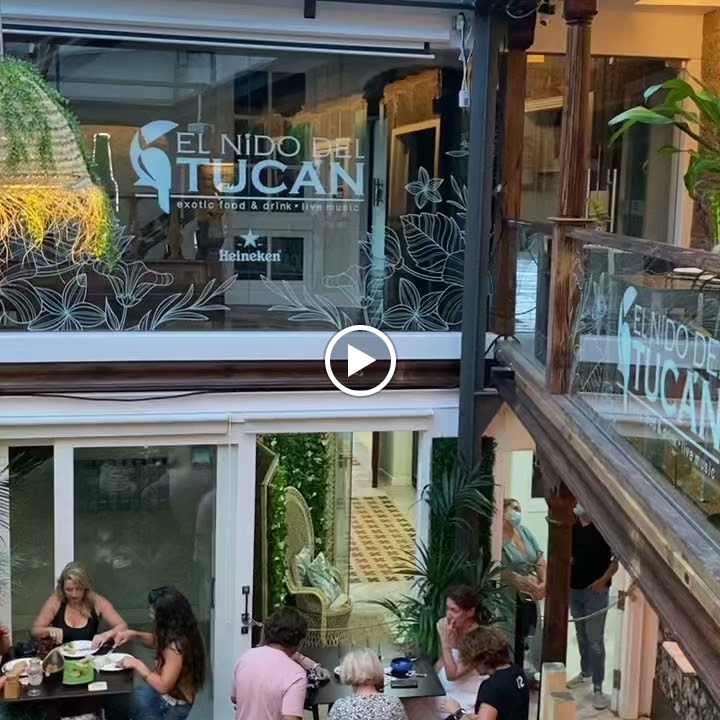 El Nido del Tucan — Videos
