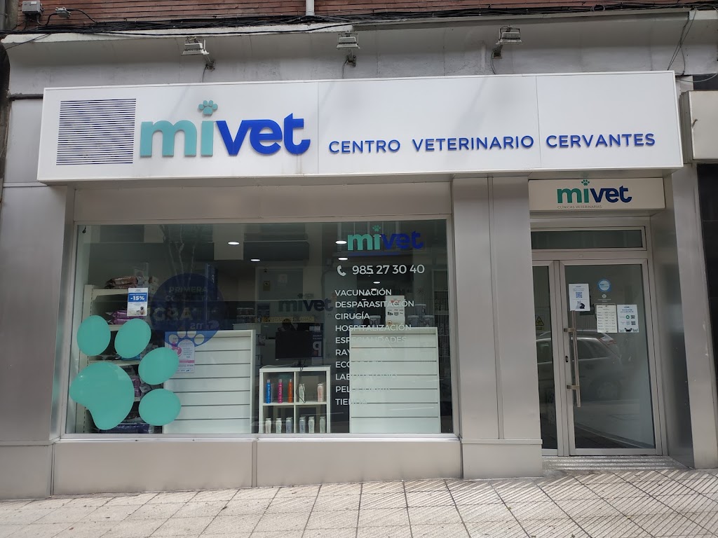 Clinica Veterinaria Cervantes | MiVet — Del propietario