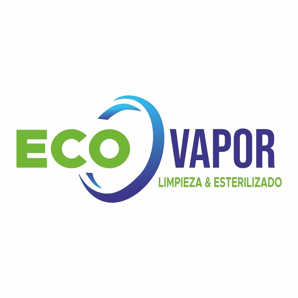 EcoVapor — Del propietario