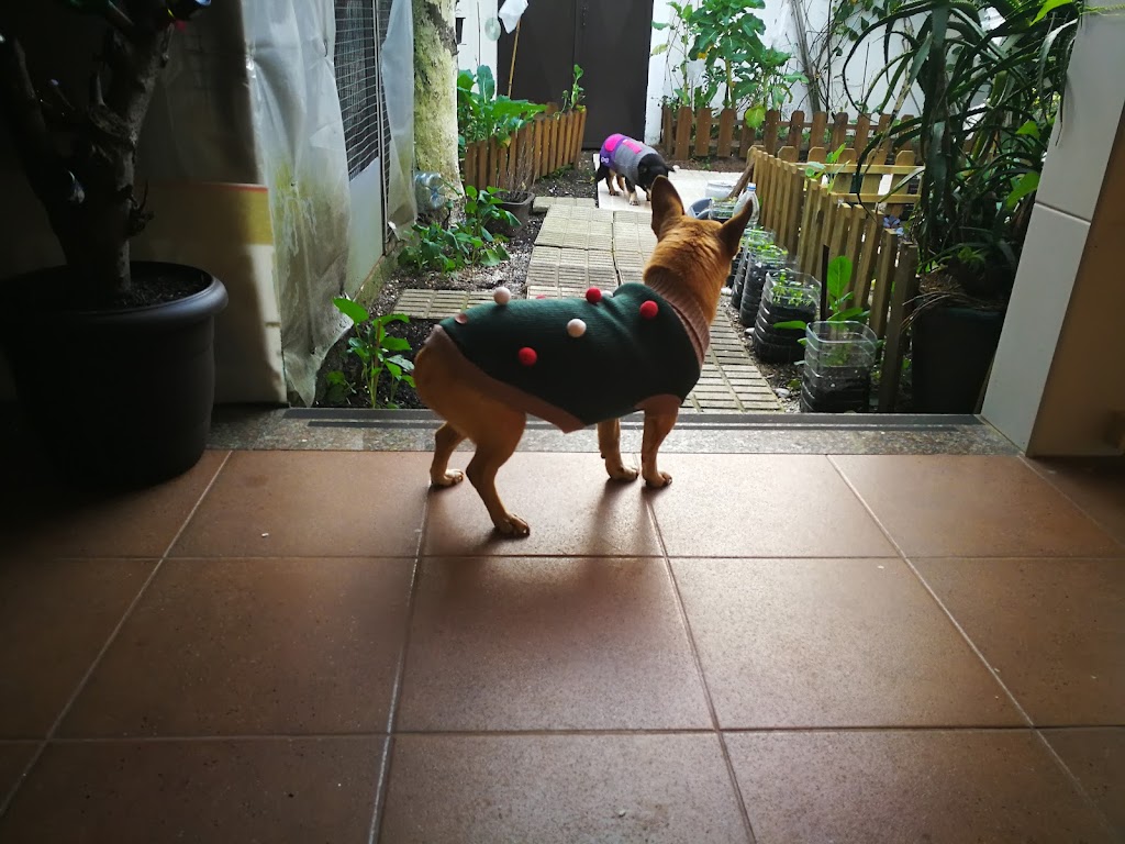 Foto da avaliação