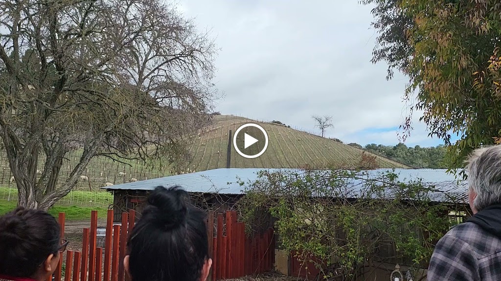 Videos