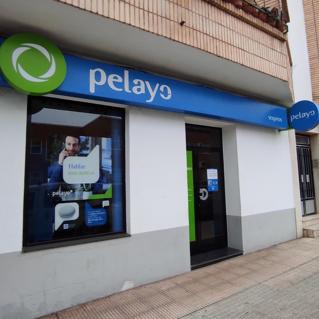 Oficina Seguros Pelayo