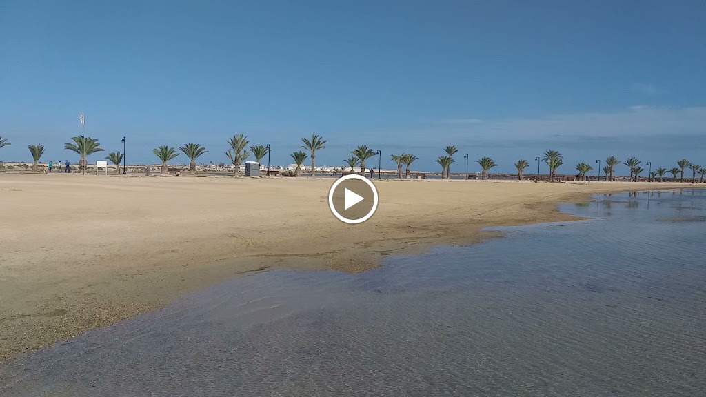 Banos de lodo — Videos