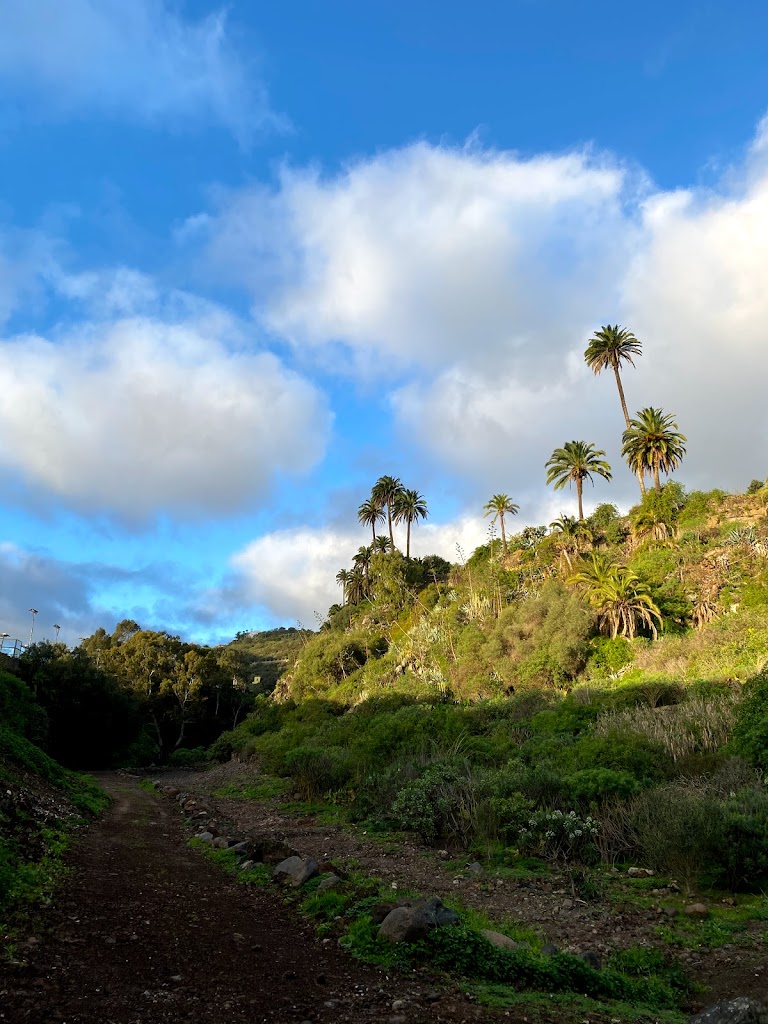 Barranco De Santa Brigida La Angostura Y Las Meleguinas