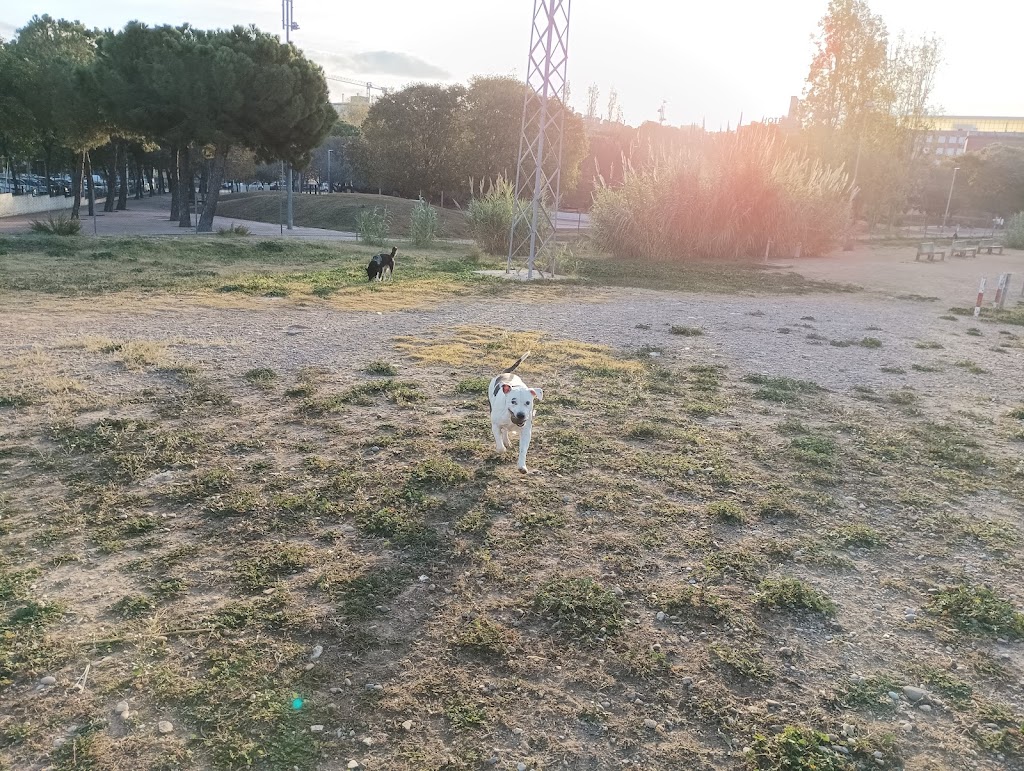 Recinte D'esbarjo De Gossos