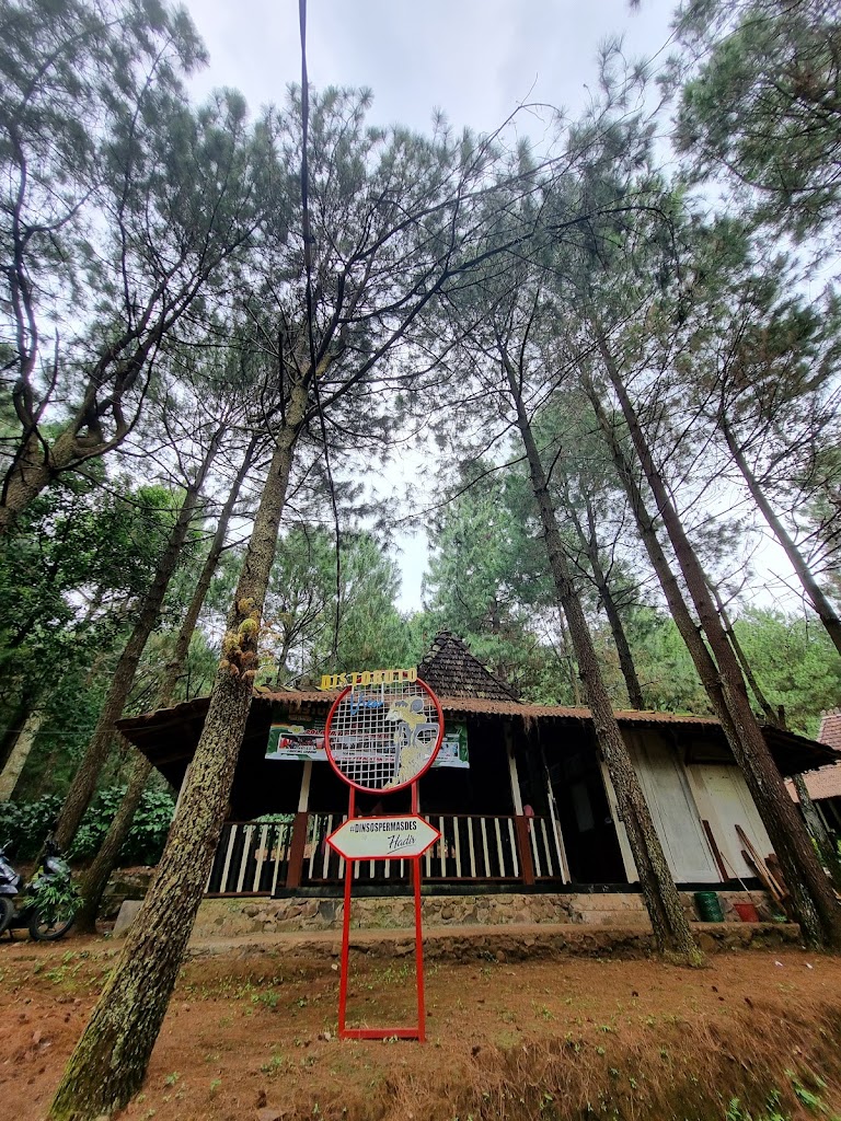 Camping Ground Distoroto Jepara