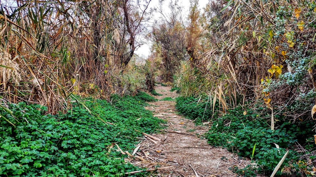 Senda de la acequia de Caravija