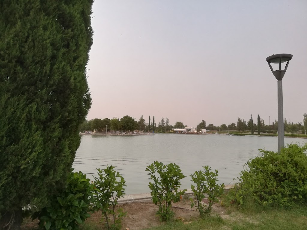 Lago Parque Municipal Juan Carlos I