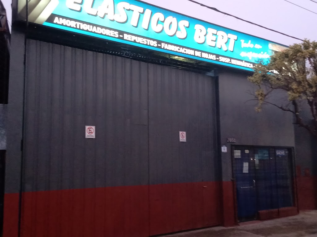 Elasticos Bert — Del propietario