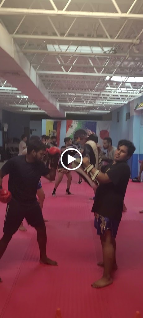  Americas finest karate kick boxing academy queens ny