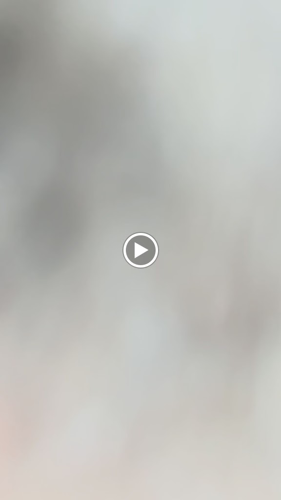 Cafeteria Pepe — Videos