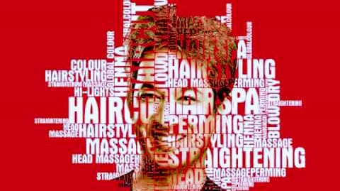 Jawed Habib Krishnanagar