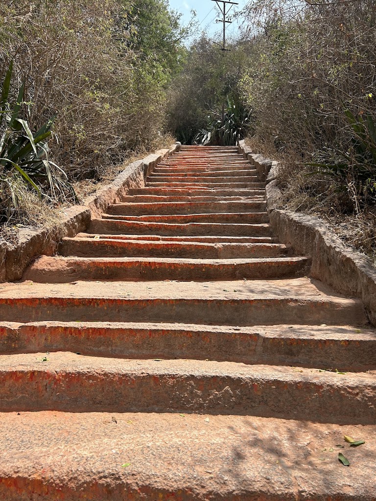  Green Mountain Ashtanga Yoga