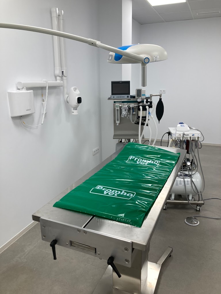 Clinica Veterinaria Cabanes — Del propietario