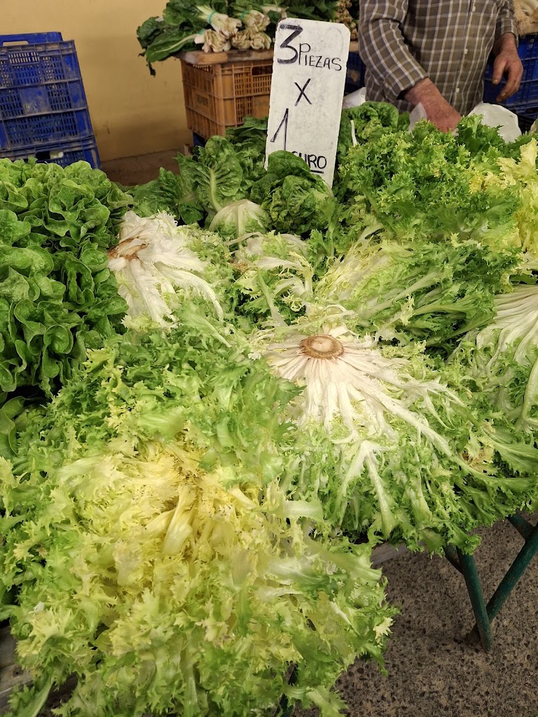 Carrera San Silvestre El Campello