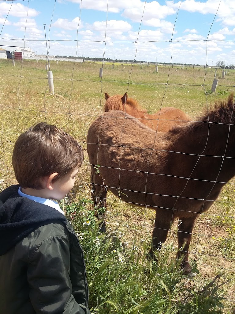 Club de Golf Tomelloso