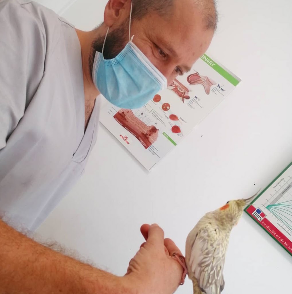 Clinica Veterinaria Elda Vicente Burgos — Del propietario