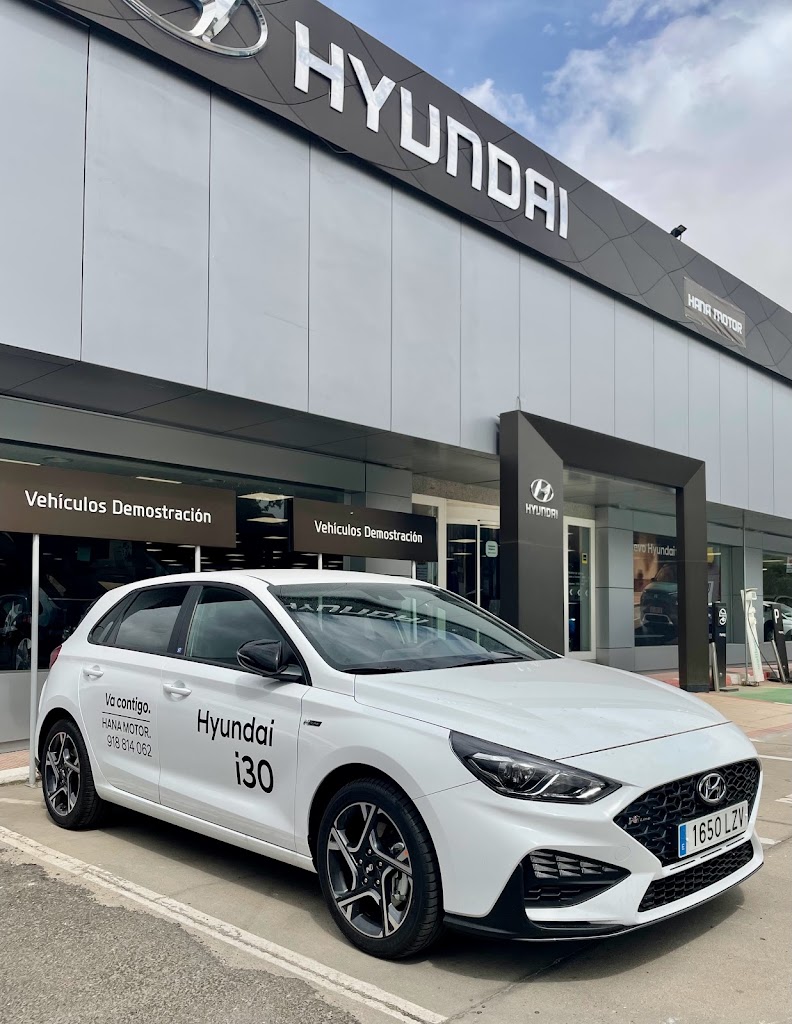 Hyundai Hana Motor — Del propietario