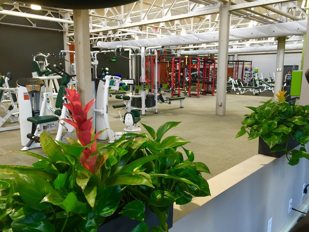  mActivity Fitness Center