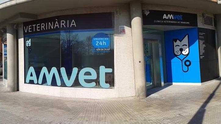 Amvet Clinica Veterinaria Alt Maresme