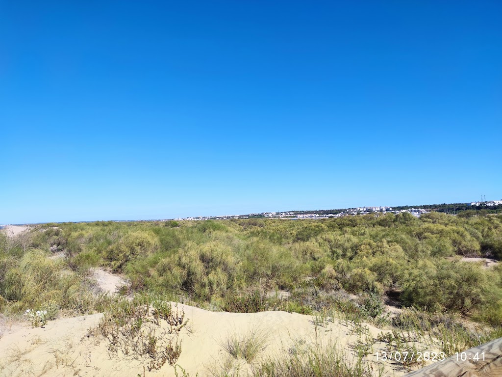 Paraje natural Marismas del Rio Piedras y Flecha de Nueva Umbria