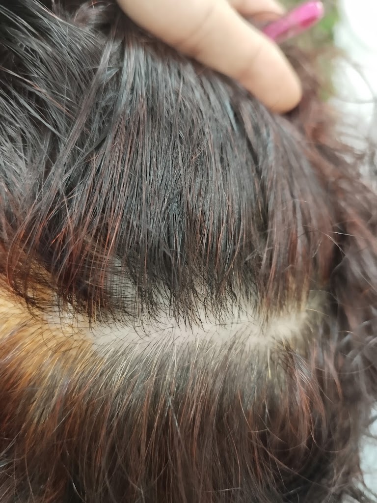Peluqueria Yoyi — Peinado