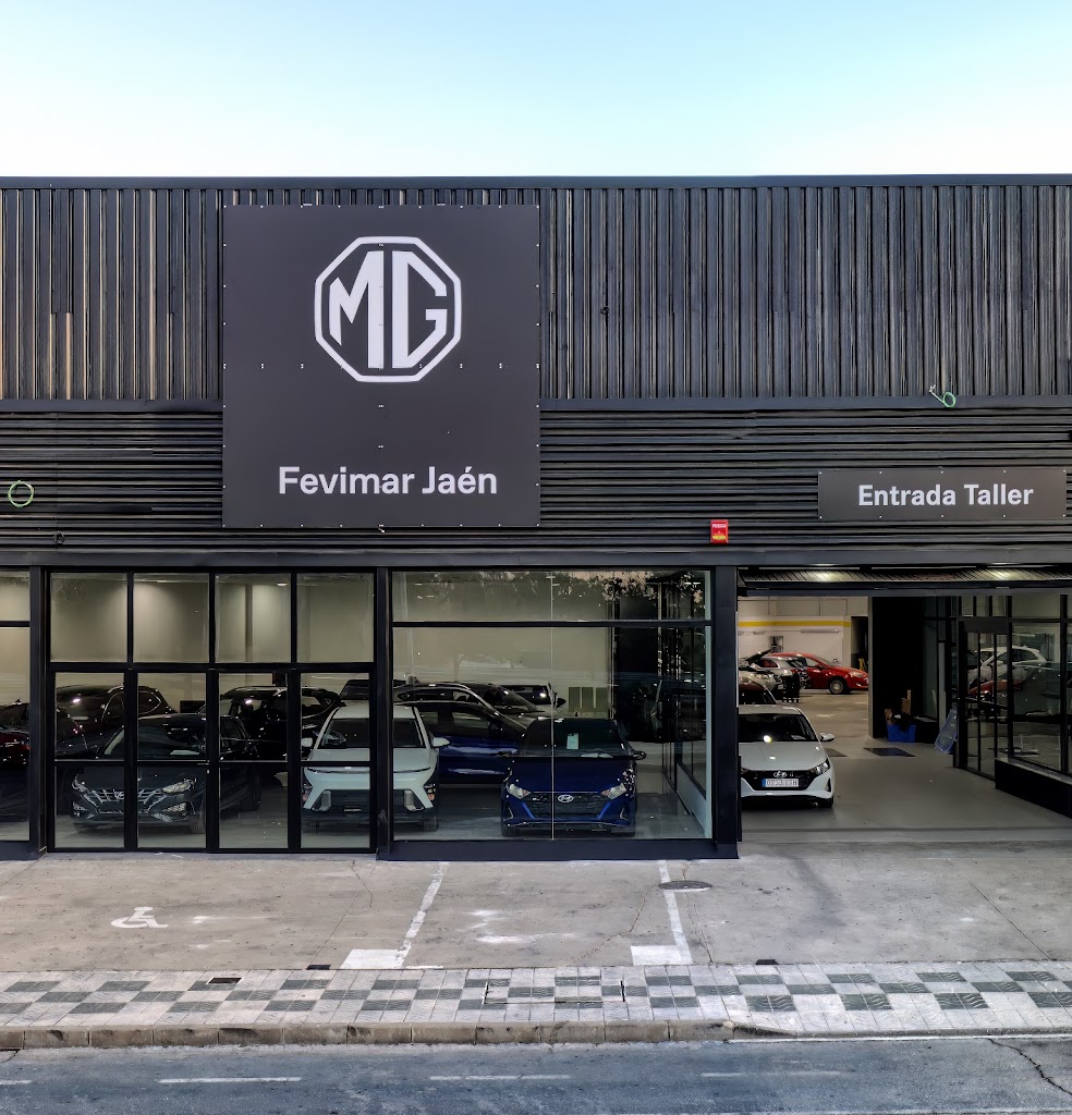 MG Fevimar Andujar - Grupo Angal