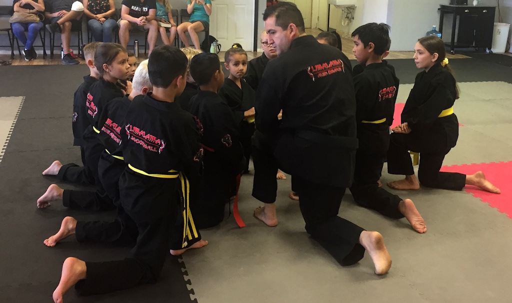  Limalama DKS - Karate - Self Defense - Modern Martial Arts Santee