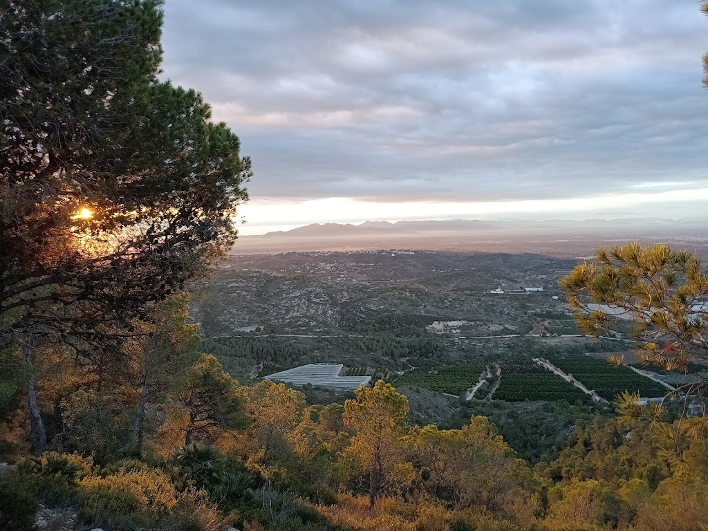 Pico Besori