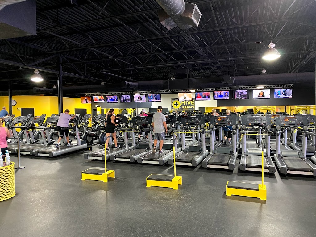  Hive Therapy Health & Fitness