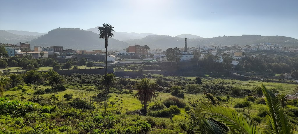 Camino del Arbol Bonito