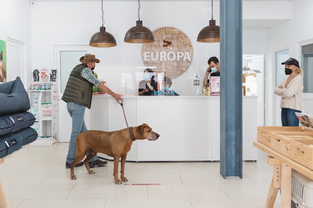 Clinica Veterinaria Tarifa Europa — Perro