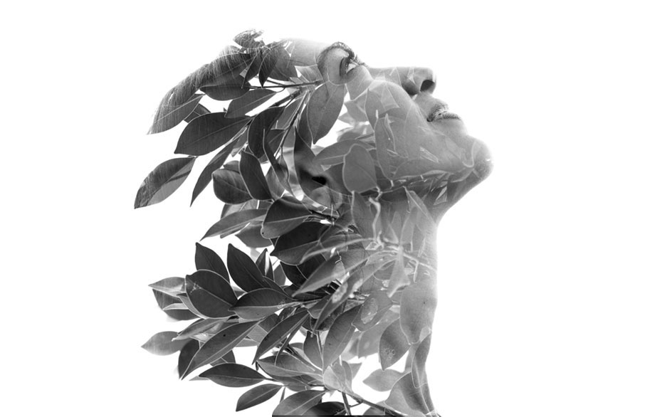 Graphics