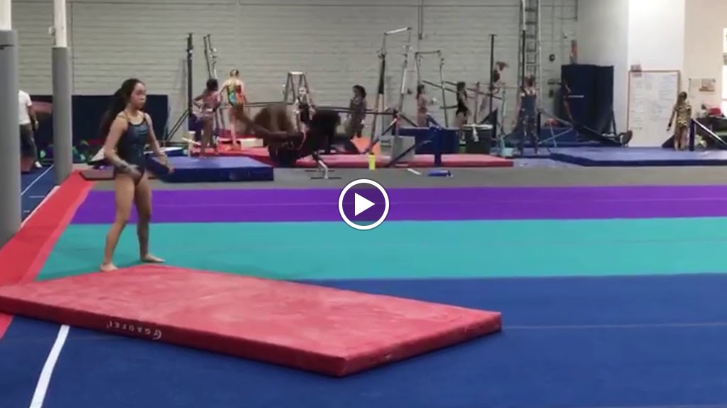  VIBE Gymnastics