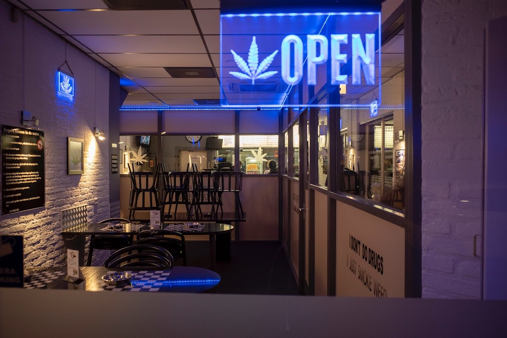 Cannabis Marketing Agency Oc