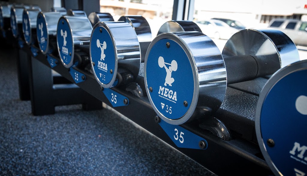  Michigan Elite Conditioning for Athletes - Royal Oak