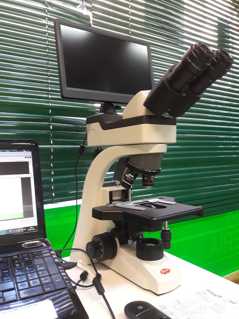 Clinica veterinaria "El Albeitar" - Aranda de Duero